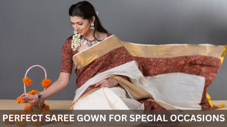 Perfect Saree Gown for Special Occasions