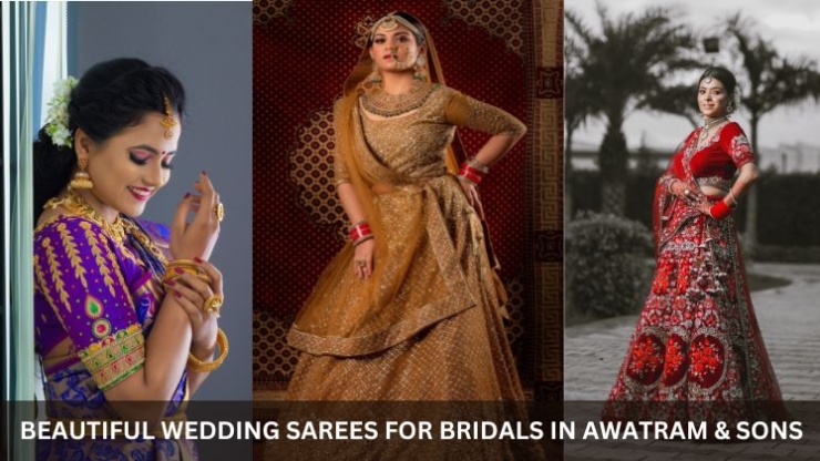 Beautiful Wedding Sarees For Bridals In Awatram & Sons